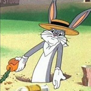 Meet your Posher, Anessa